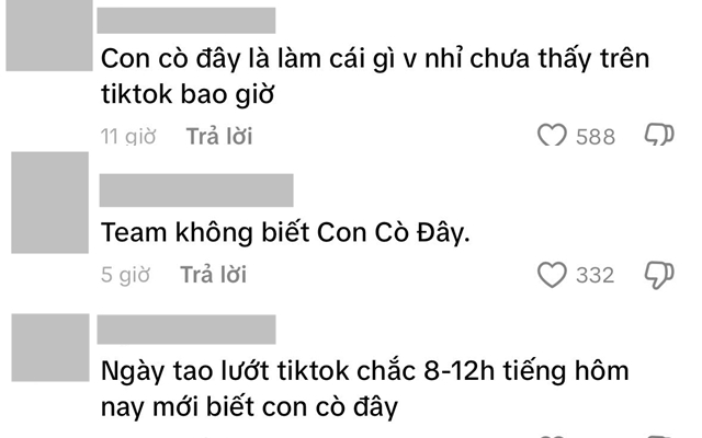 Ồn ào quanh Con Cò Đây và Tina Thảo Thi- Ảnh 3.