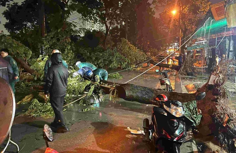 TP.HCM: 2 bà cháu bị cây xanh bật gốc đè trúng giữa trời mưa- Ảnh 2.