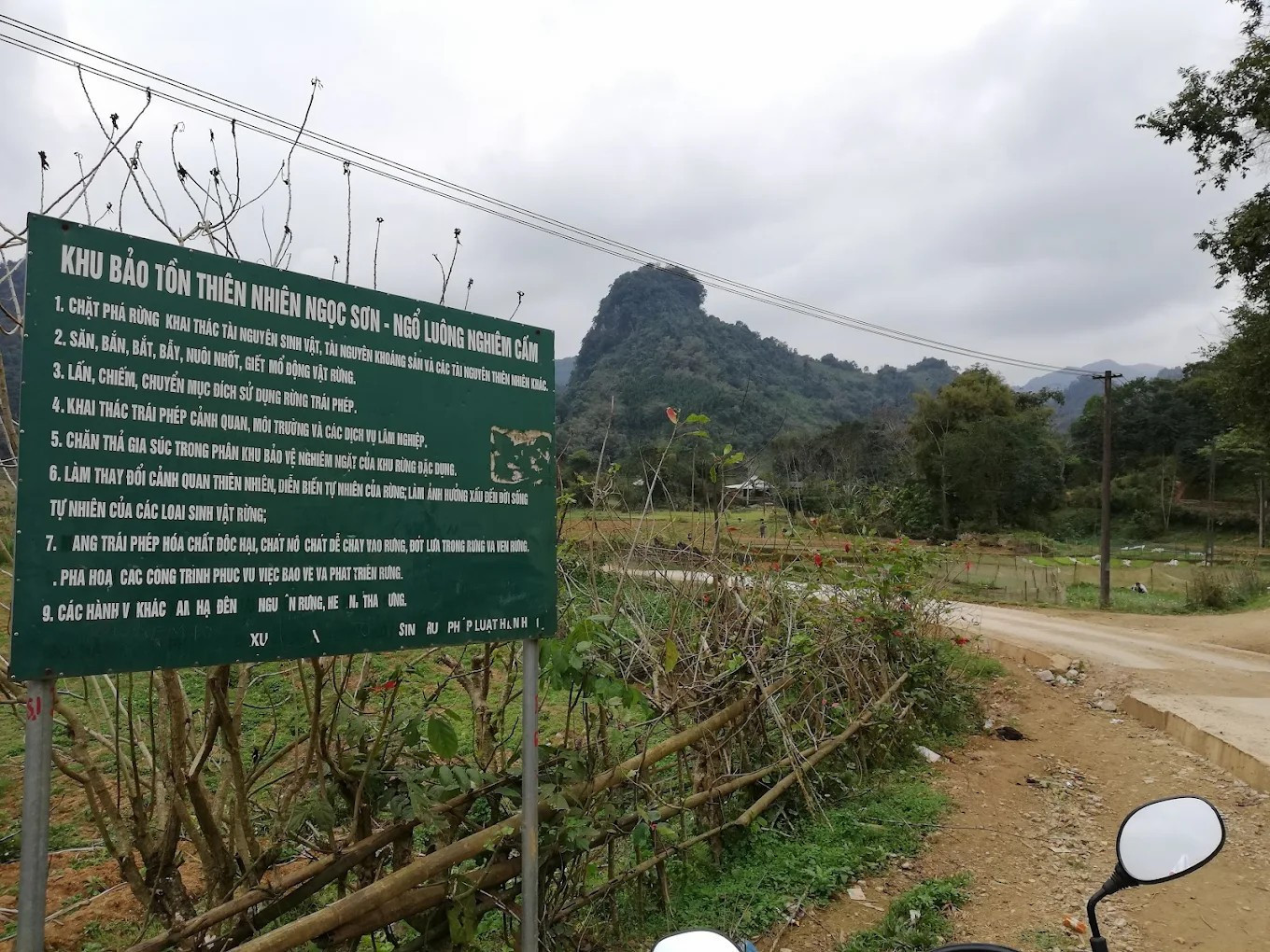 Nghi xuất hiện hổ trong rừng ở Phú Thọ- Ảnh 1.