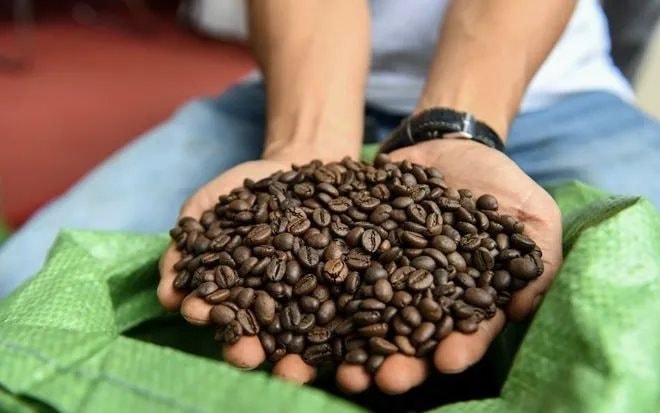 Một mặt hàng của Việt Nam lập kỷ lục thu về gần 7 tỷ USD, hơn 80 quốc gia ồ ạt chốt đơn- Ảnh 3.