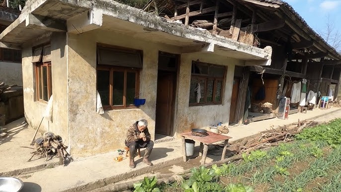 Đi 5.000km về quê sau 1 tháng nhập học, thấy cảnh mẹ, tôi bắt xe trở lại thành phố: "Sao mà ê chề quá"- Ảnh 3.
