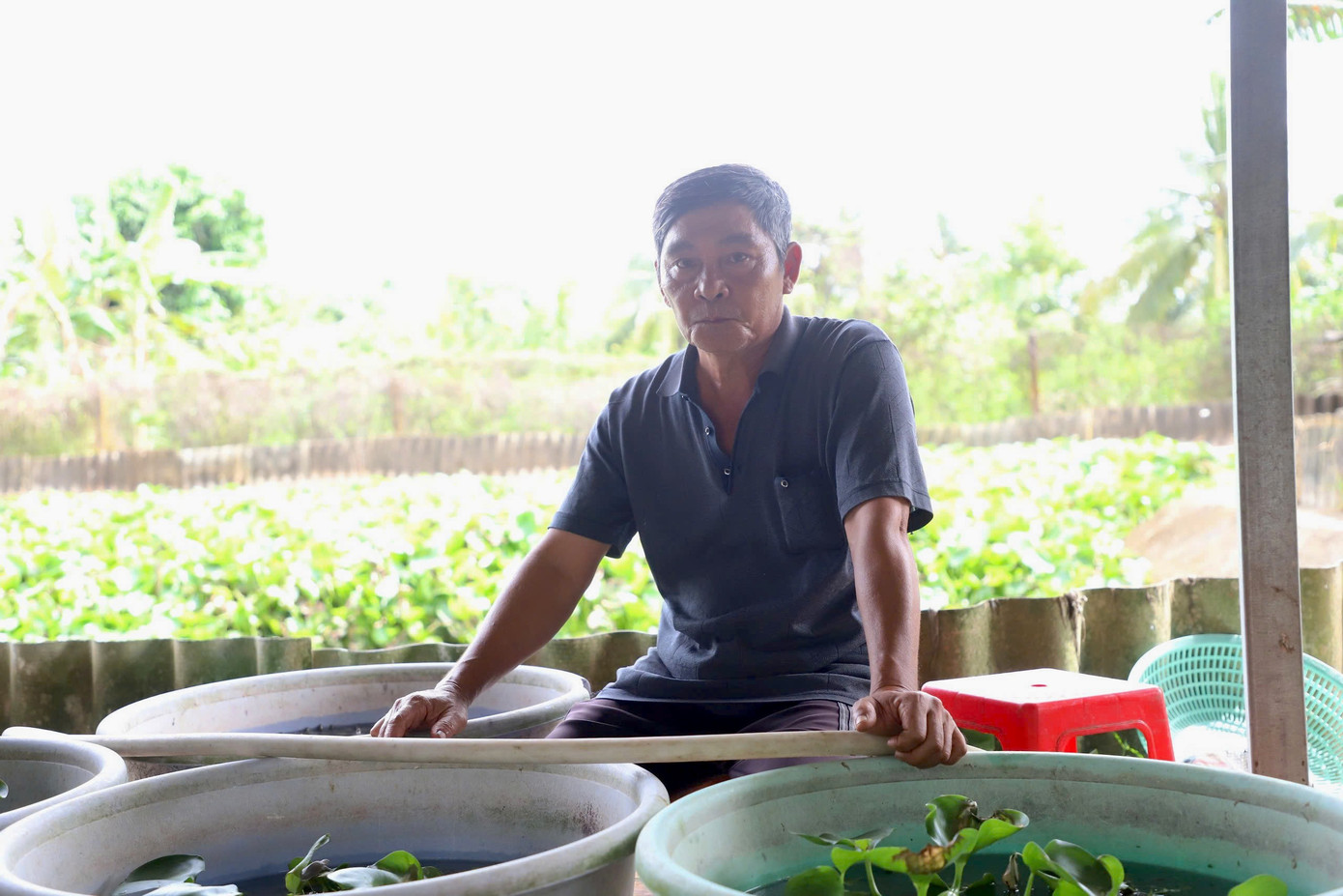 Người nông dân ở Cần Thơ nuôi con gì mà trở thành xuất sắc nhất Việt Nam?- Ảnh 2.