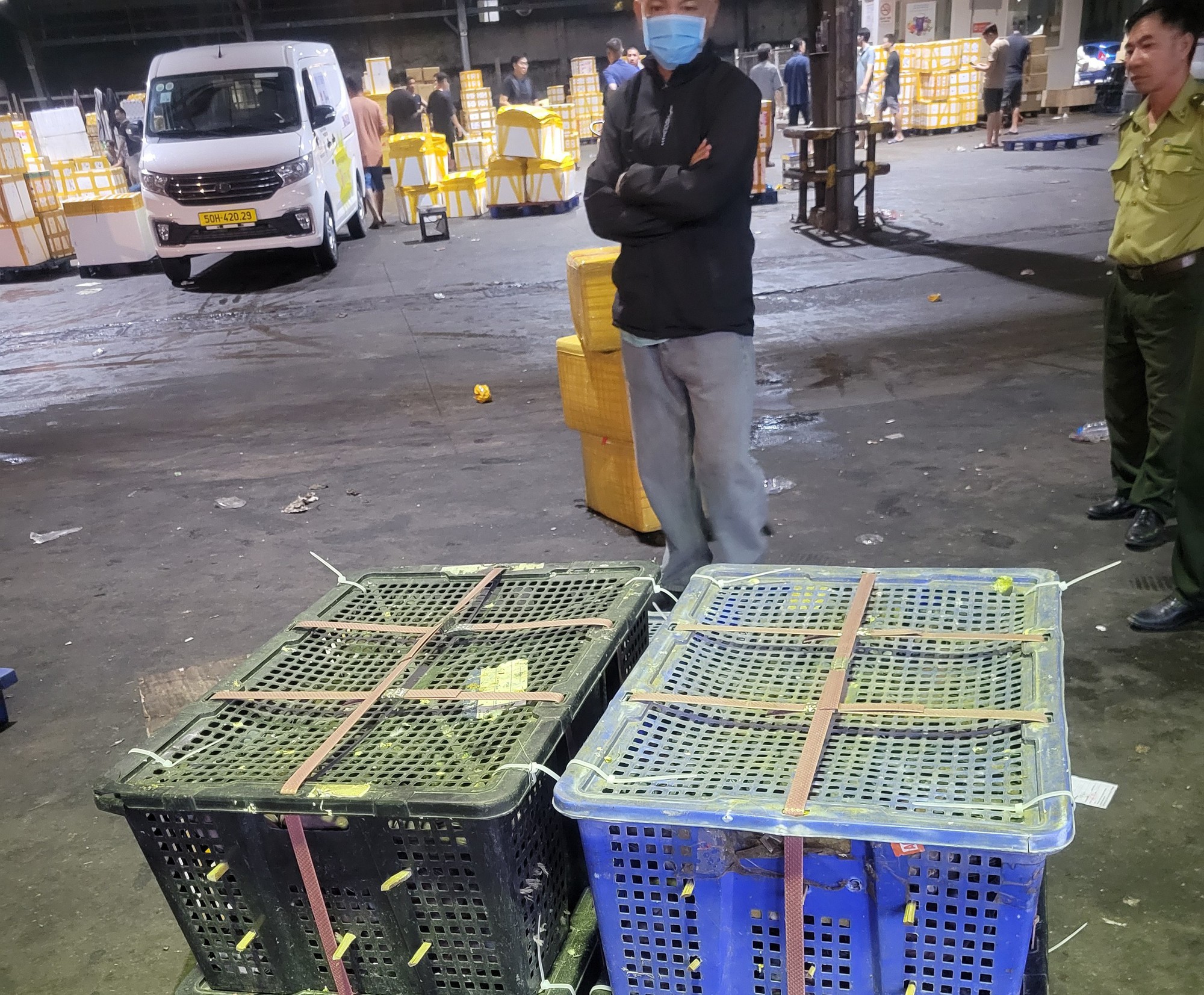 “Kho chim” bí ẩn gần sân bay: Phát hiện 500 con cu ngói không giấy tờ- Ảnh 2.