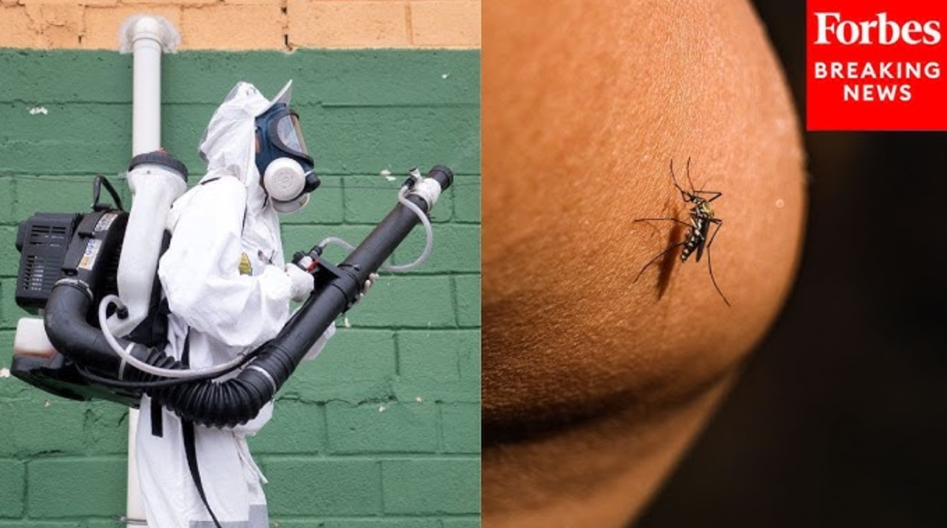 Loại virus khiến Trung Quốc phải kích hoạt kiểm soát dịch như thời Covid-19 đã xuất hiện ở quốc gia khác- Ảnh 1.