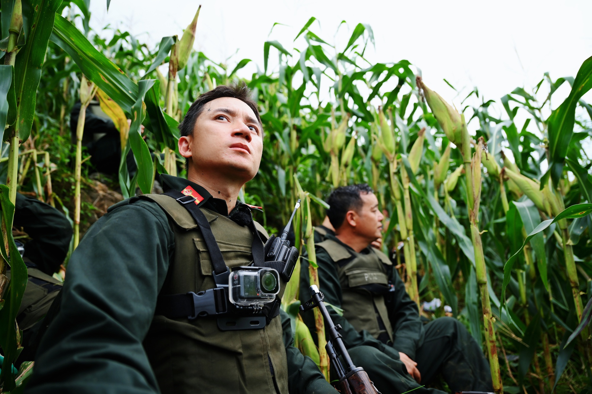 Nghệ sĩ tham gia 
