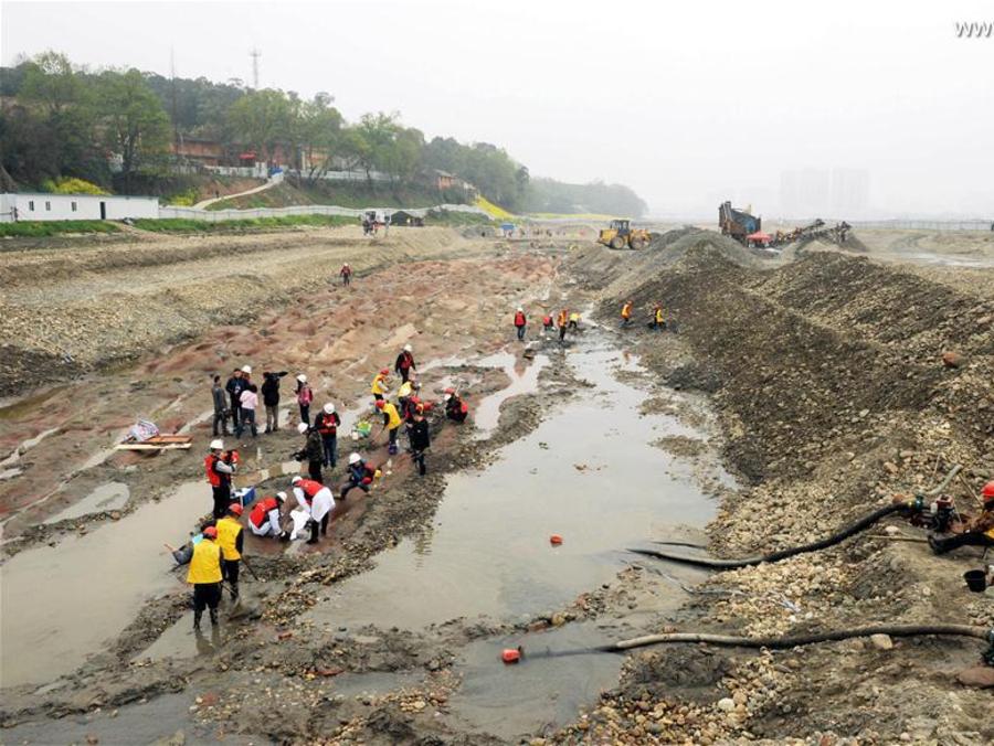 Phát hiện số vàng trị giá 12.000 tỷ dưới sông- Ảnh 1.