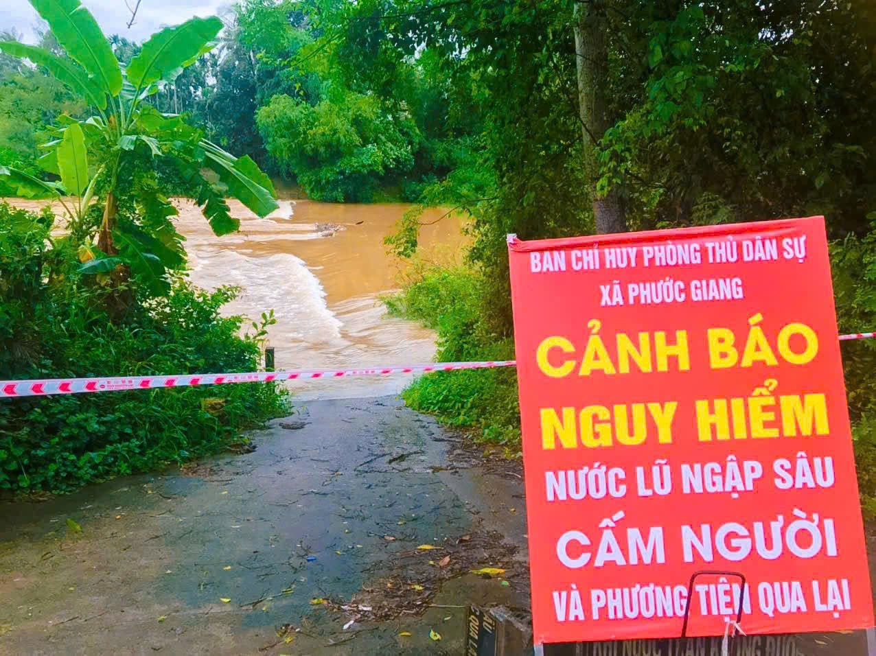 Bắn pháo hiệu khẩn cấp giữa đêm, Quảng Ngãi kêu gọi tàu thuyền vào bờ tránh trú- Ảnh 5.