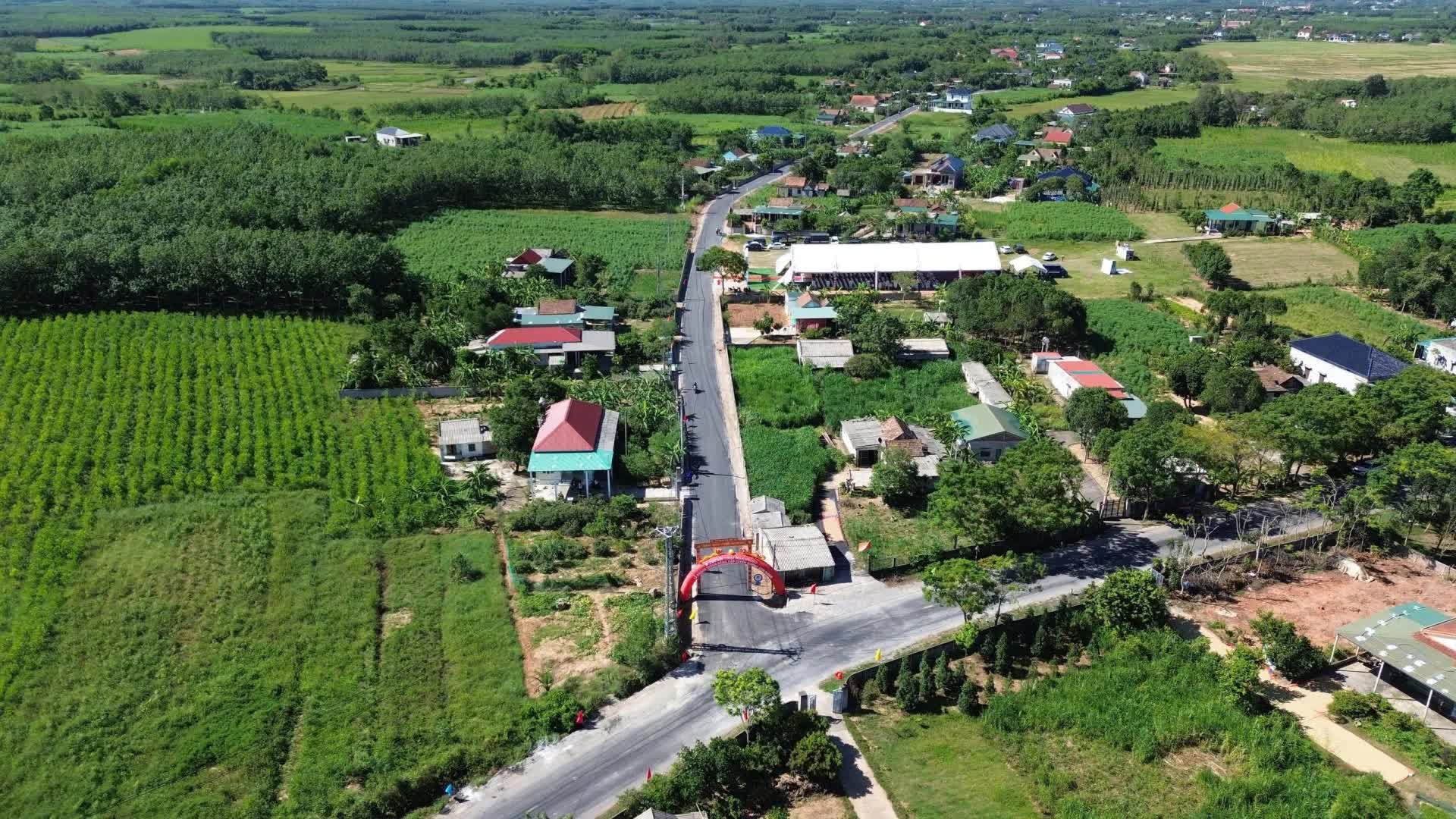 Con đường 12.000 tỷ đồng, dài 3,2km, "thần tốc" thi công chỉ 20 ngày: Tập đoàn Sơn Hải tài trợ 100% vốn- Ảnh 1.