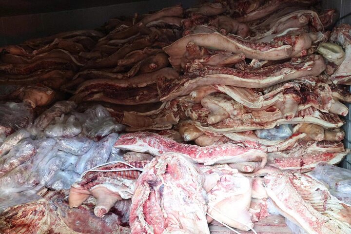 Khởi tố kẻ tích trữ gần 38 tấn thịt lợn bệnh trong kho lạnh để bán ra thị trường- Ảnh 2.