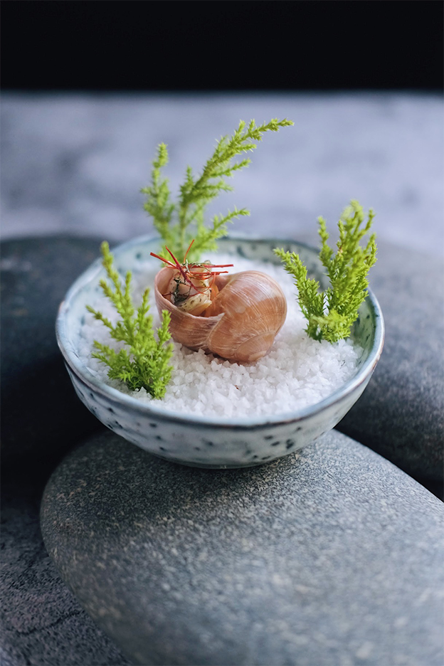 Nguyễn Đỗ Nguyệt Ánh bị truy tố cùng Tùng Dinning là ai?- Ảnh 2.