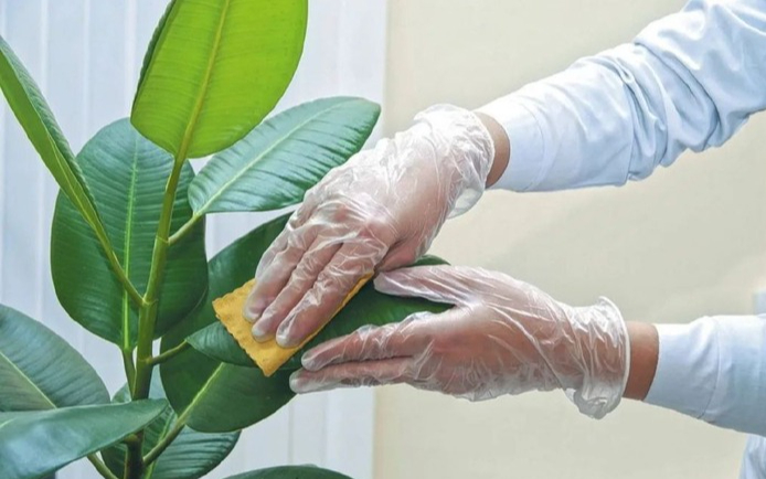 8 dấu hiệu nhận biết ngôi nhà 