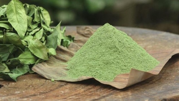 Cây dại ở bờ rào hóa "mỏ vàng", hái lá bán đều tay, thành đặc sản lạ nổi tiếng- Ảnh 8.