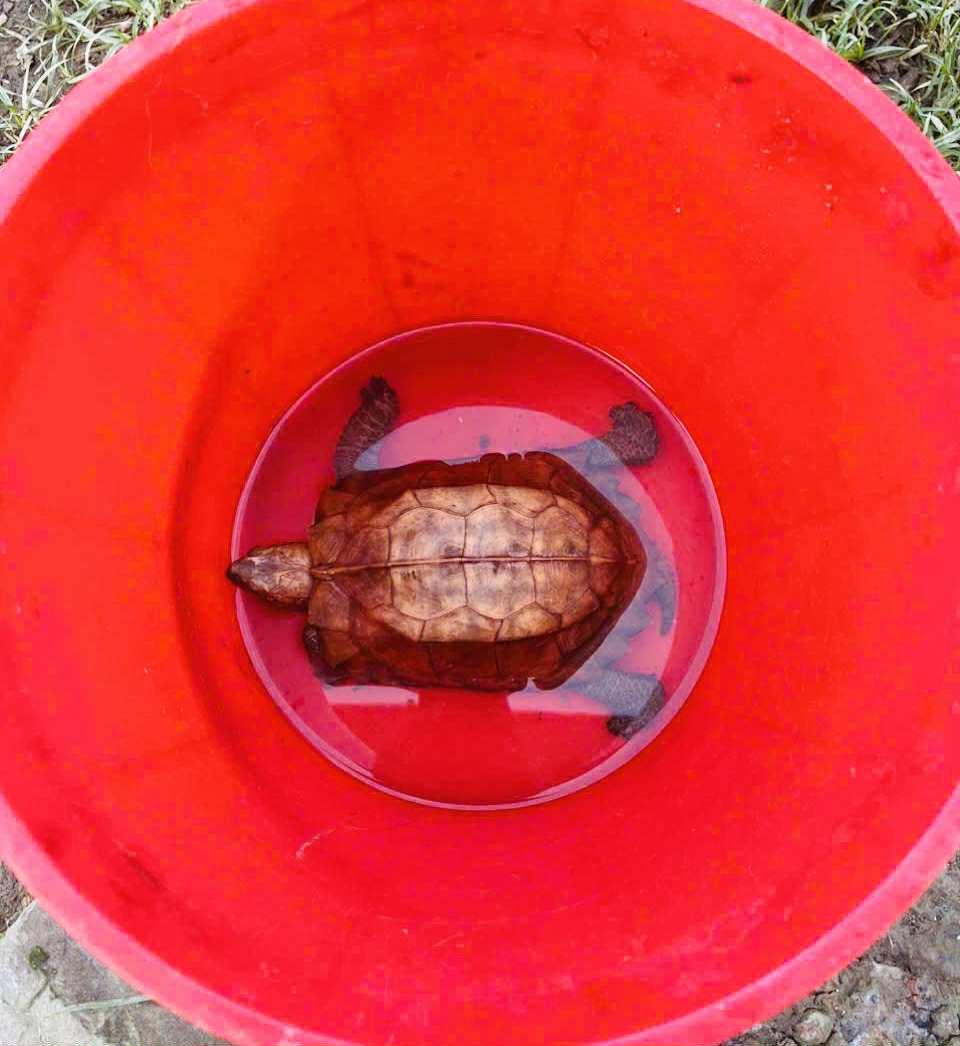 Giật mình khi thấy 
