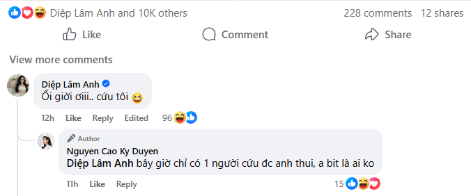 Bóng lưng mỹ nhân khiến Diệp Lâm Anh kêu cứu- Ảnh 3.