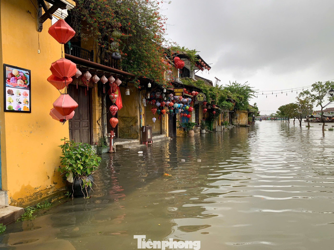 Nước sông Hoài tràn phố cổ Hội An, du khách thích thú đạp xe, lội nước lũ- Ảnh 7.