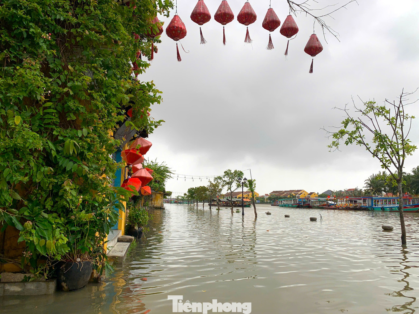 Nước sông Hoài tràn phố cổ Hội An, du khách thích thú đạp xe, lội nước lũ- Ảnh 9.