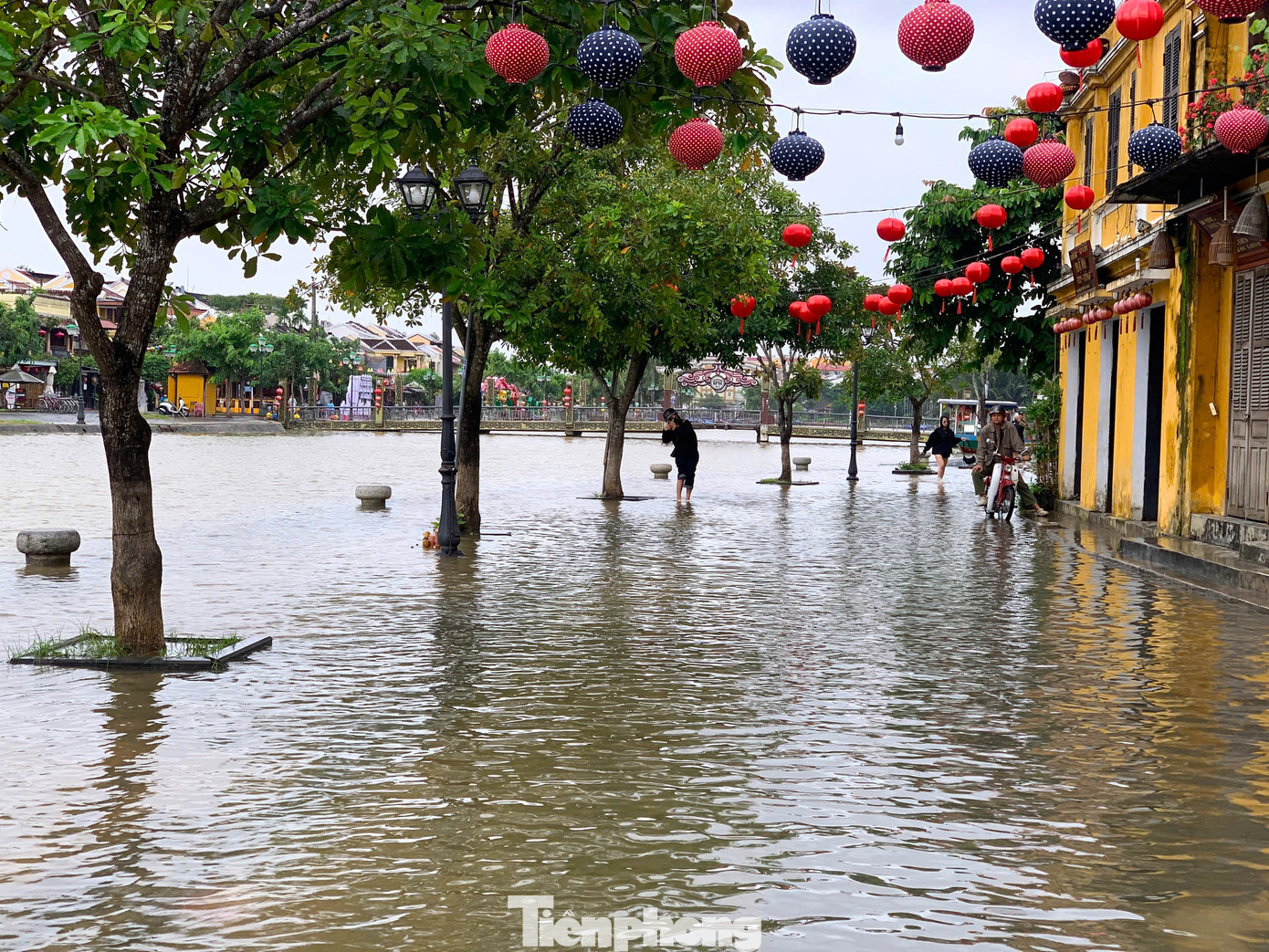 Nước sông Hoài tràn phố cổ Hội An, du khách thích thú đạp xe, lội nước lũ- Ảnh 3.