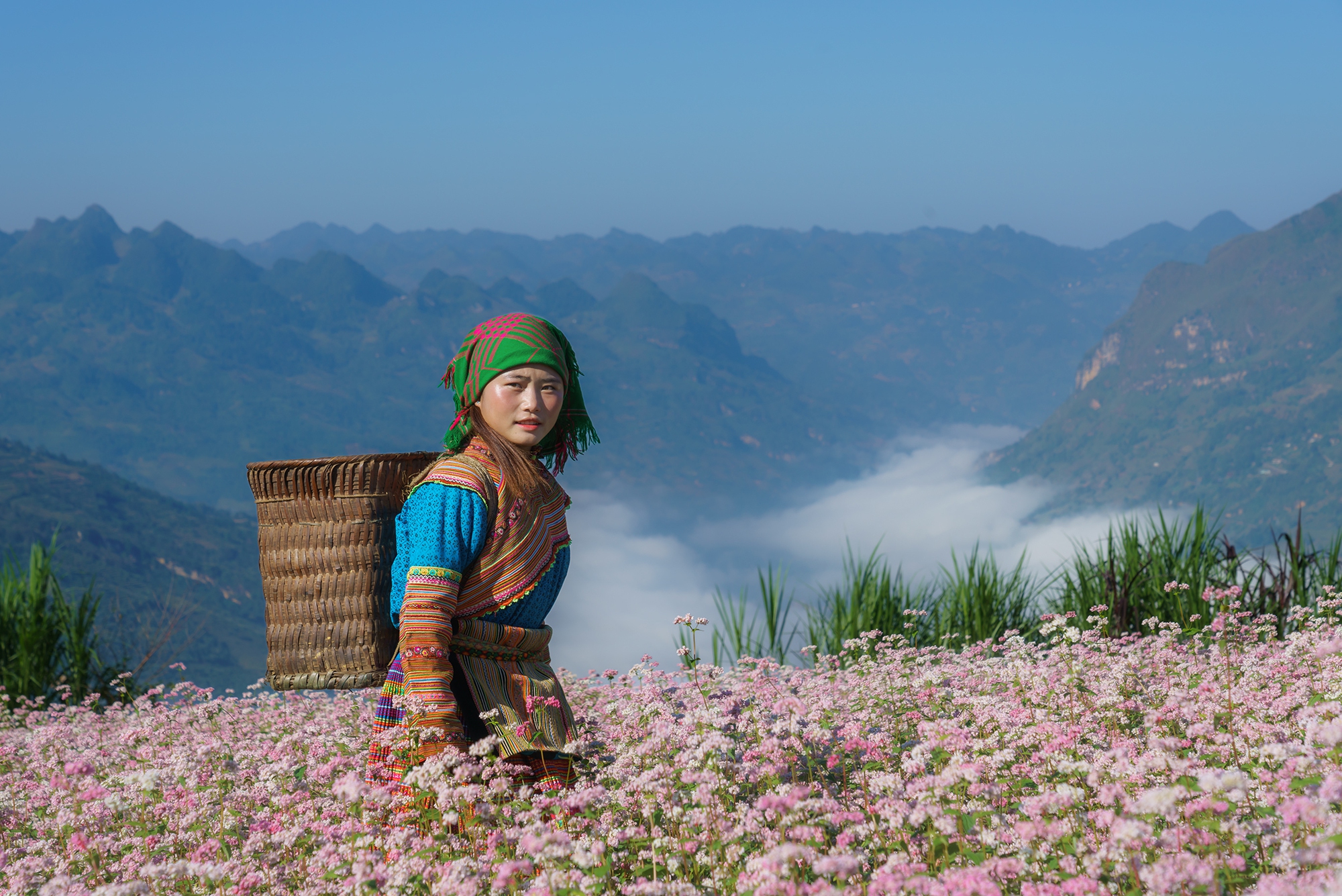 Trời trở lạnh và Hà Giang đã vào mùa đẹp nhất, đi ngay thôi còn do dự là lỡ mất!- Ảnh 1.