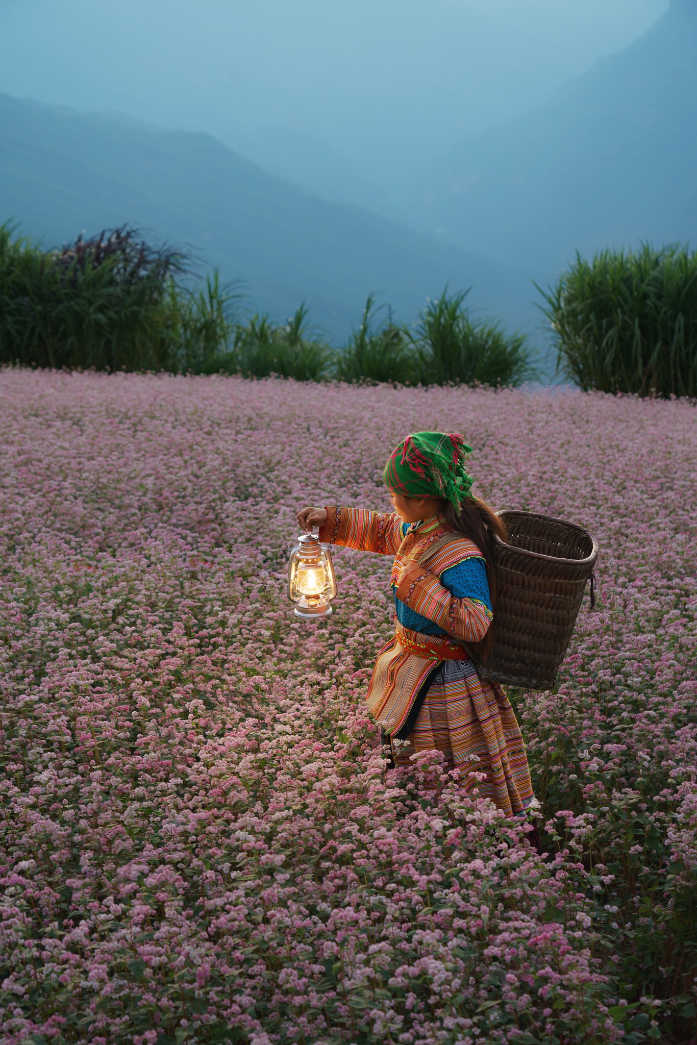 Trời trở lạnh và Hà Giang đã vào mùa đẹp nhất, đi ngay thôi còn do dự là lỡ mất!- Ảnh 3.