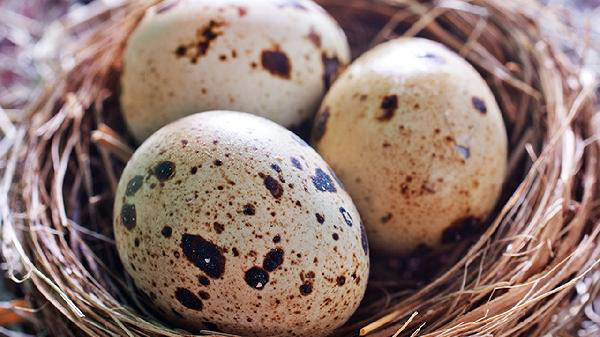 Khuyên thật: Đi chợ mua trứng nhớ 5 bí quyết này, trứng ngon, để được lâu- Ảnh 1.