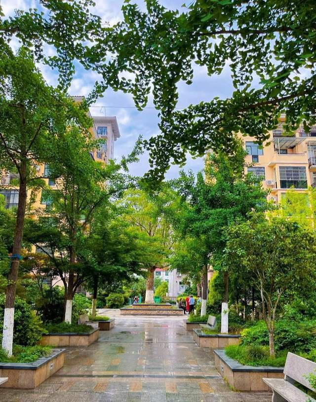 48 tuổi, tôi rời căn hộ cao tầng để sống ở khu chung cư cũ - và bất ngờ tìm lại hạnh phúc thật sự- Ảnh 4.