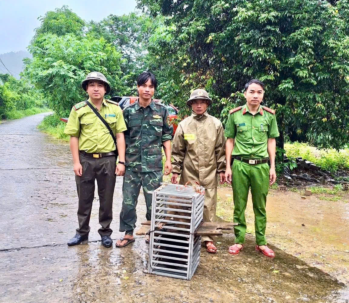 Bắt được con vật "mặt đỏ như gấc", người dân trình báo chính quyền- Ảnh 3.