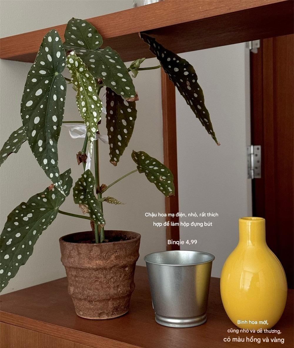 8 món đồ đỉnh nhất IKEA: Cứ lên kệ là bay vèo vèo, Google cũng cạn từ để khen- Ảnh 2. 8 món đồ đỉnh nhất IKEA: Cứ lên kệ là bay vèo vèo, Google cũng cạn từ để khen- Ảnh 2.