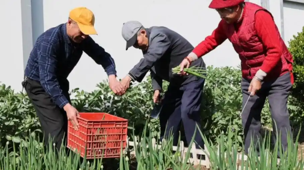 Bác họ lương hưu 30 triệu đồng, cha tôi chỉ có 5 triệu đồng: Người sống hạnh phúc hơn không phải ai cũng ngờ tới- Ảnh 2.