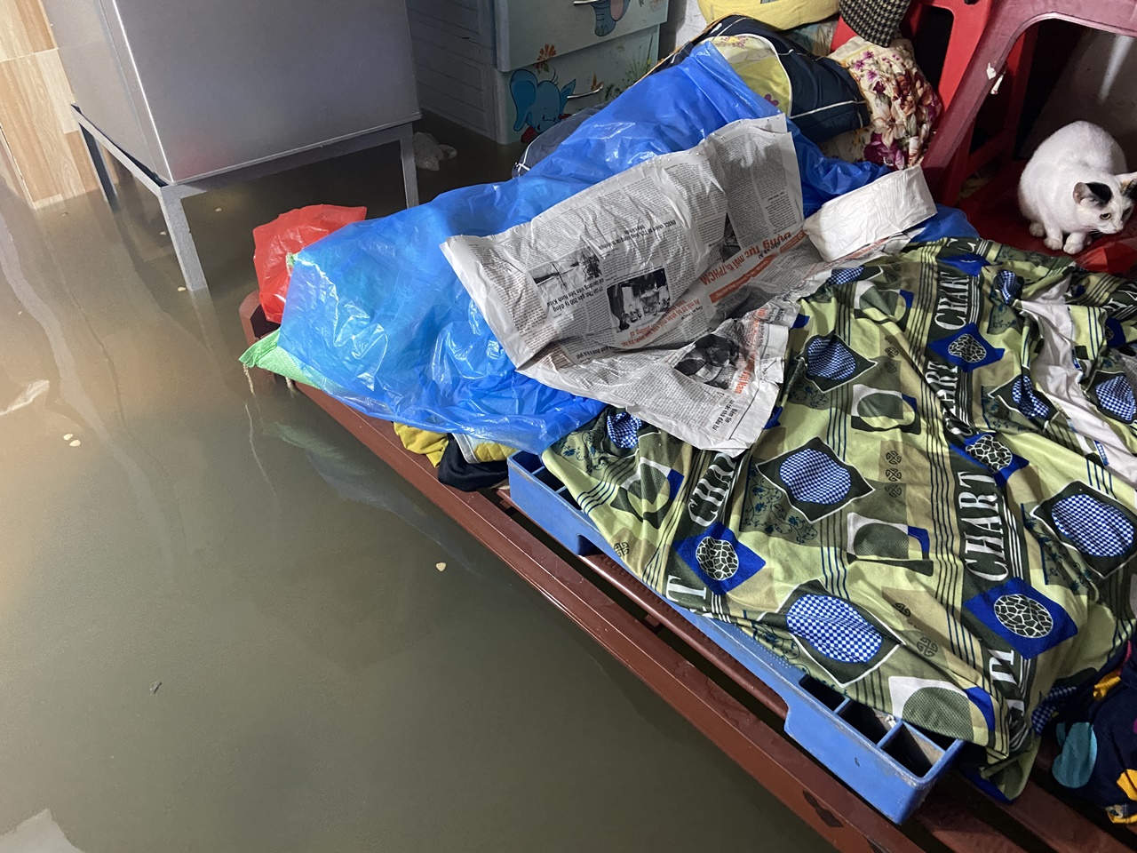 Khu phố tại TP.HCM chìm trong "biển" nước sáng 24/10: Người dân bì bõm đi làm, xe chết máy la liệt- Ảnh 8.