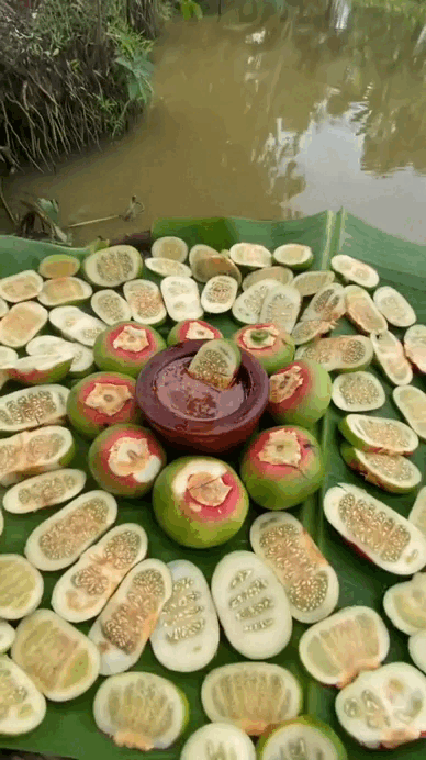 Loại quả "khổ nhất Việt Nam" chỉ miền Tây mới có- Ảnh 3. Loại quả "khổ nhất Việt Nam" chỉ miền Tây mới có- Ảnh 3.