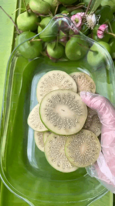 Loại quả "khổ nhất Việt Nam" chỉ miền Tây mới có- Ảnh 4. Loại quả "khổ nhất Việt Nam" chỉ miền Tây mới có- Ảnh 4.