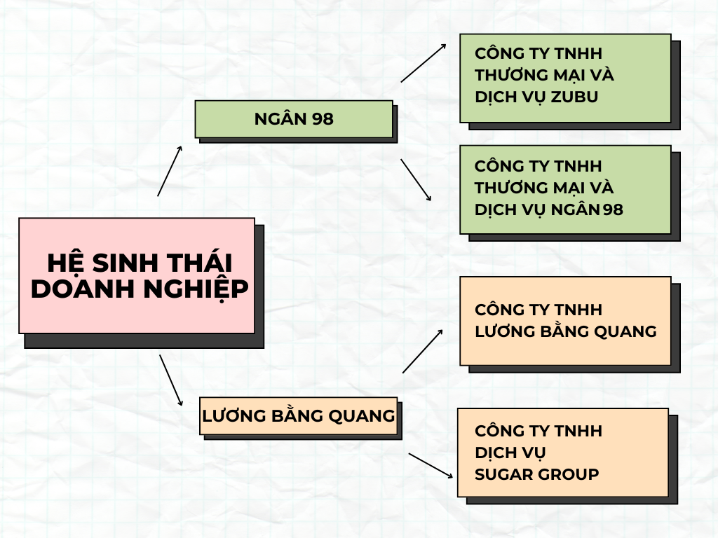 “Cỗ máy in tiền” sau lưng Ngân 98 và Lương Bằng Quang- Ảnh 1.