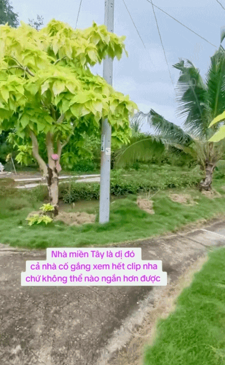 Độc lạ nhà miền Tây: Rộng như mê cung, gạch hoa mỗi phòng một kiểu, tiến vào khu bếp ai nấy đều  Độc lạ nhà miền Tây: Rộng như mê cung, gạch hoa mỗi phòng một kiểu, tiến vào khu bếp ai nấy đều