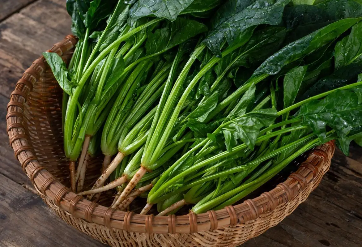 6 thực phẩm  6 thực phẩm