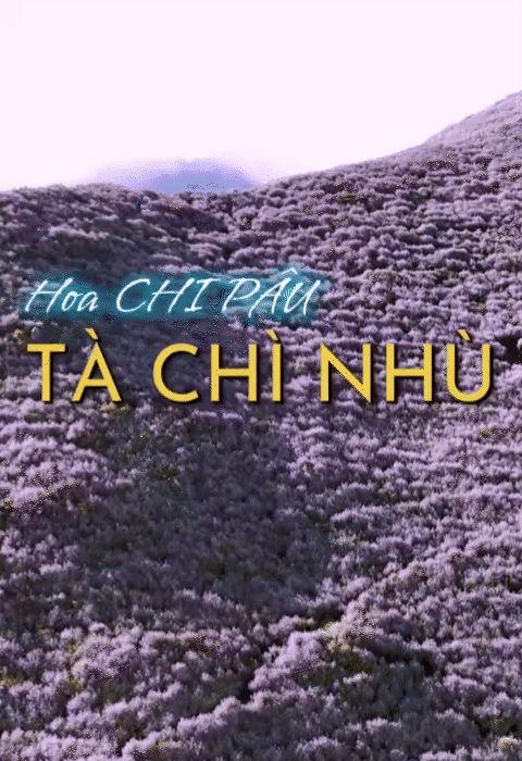 Chinh phục  Chinh phục