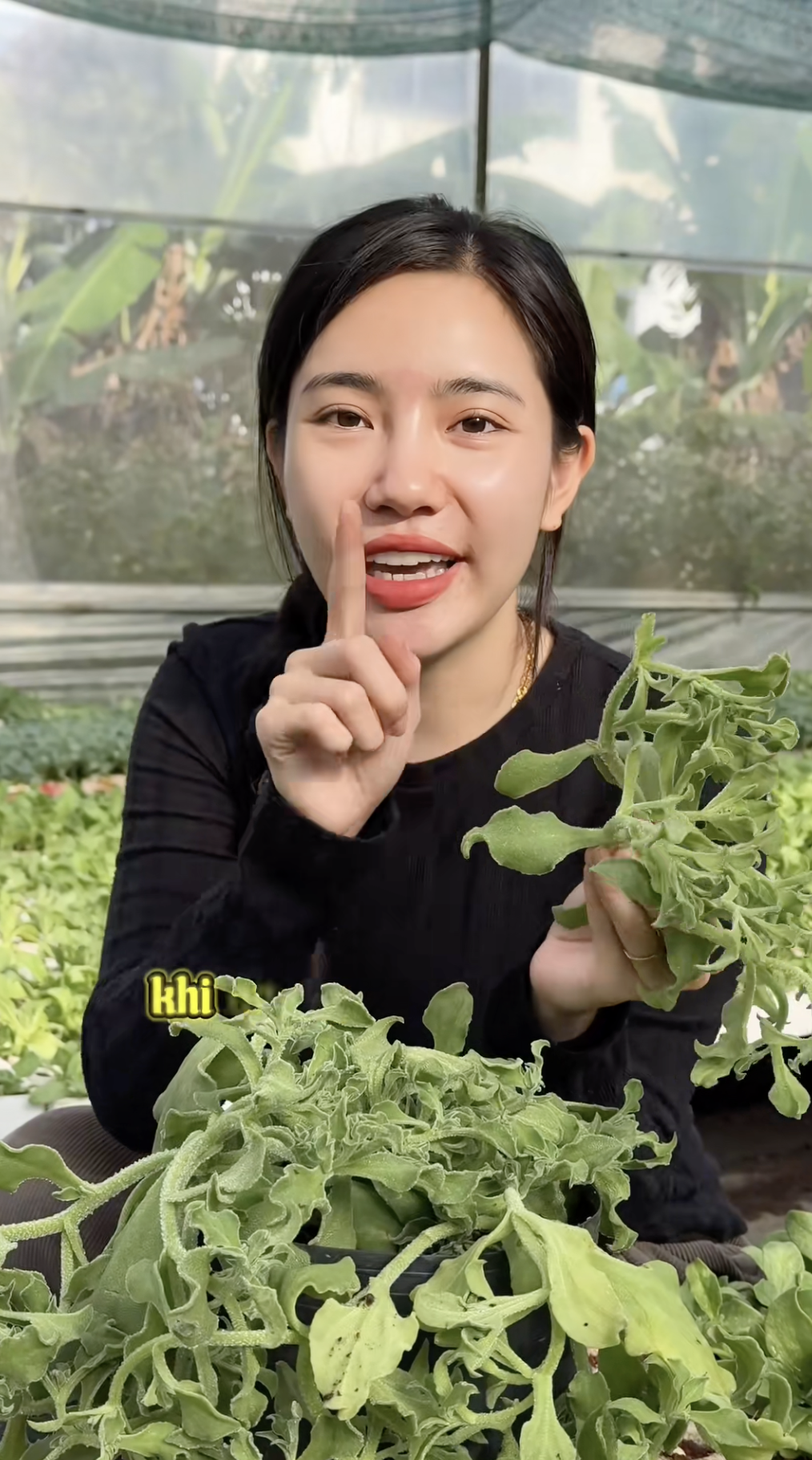Sự thật về rau xà lách giá 300k/kg, vị mặn như muối đang được săn lùng nhất Việt Nam- Ảnh 2. Sự thật về rau xà lách giá 300k/kg, vị mặn như muối đang được săn lùng nhất Việt Nam- Ảnh 2.