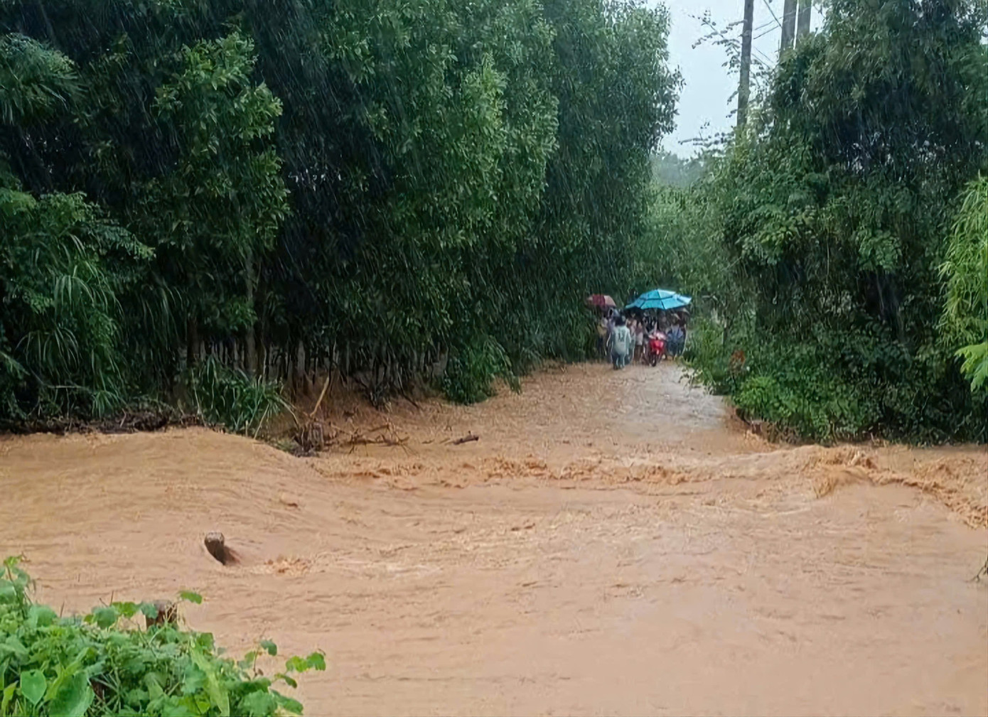 Mưa trắng trời gây ngập sâu, sạt lở ở Quảng Ngãi- Ảnh 15. Mưa trắng trời gây ngập sâu, sạt lở ở Quảng Ngãi- Ảnh 15.