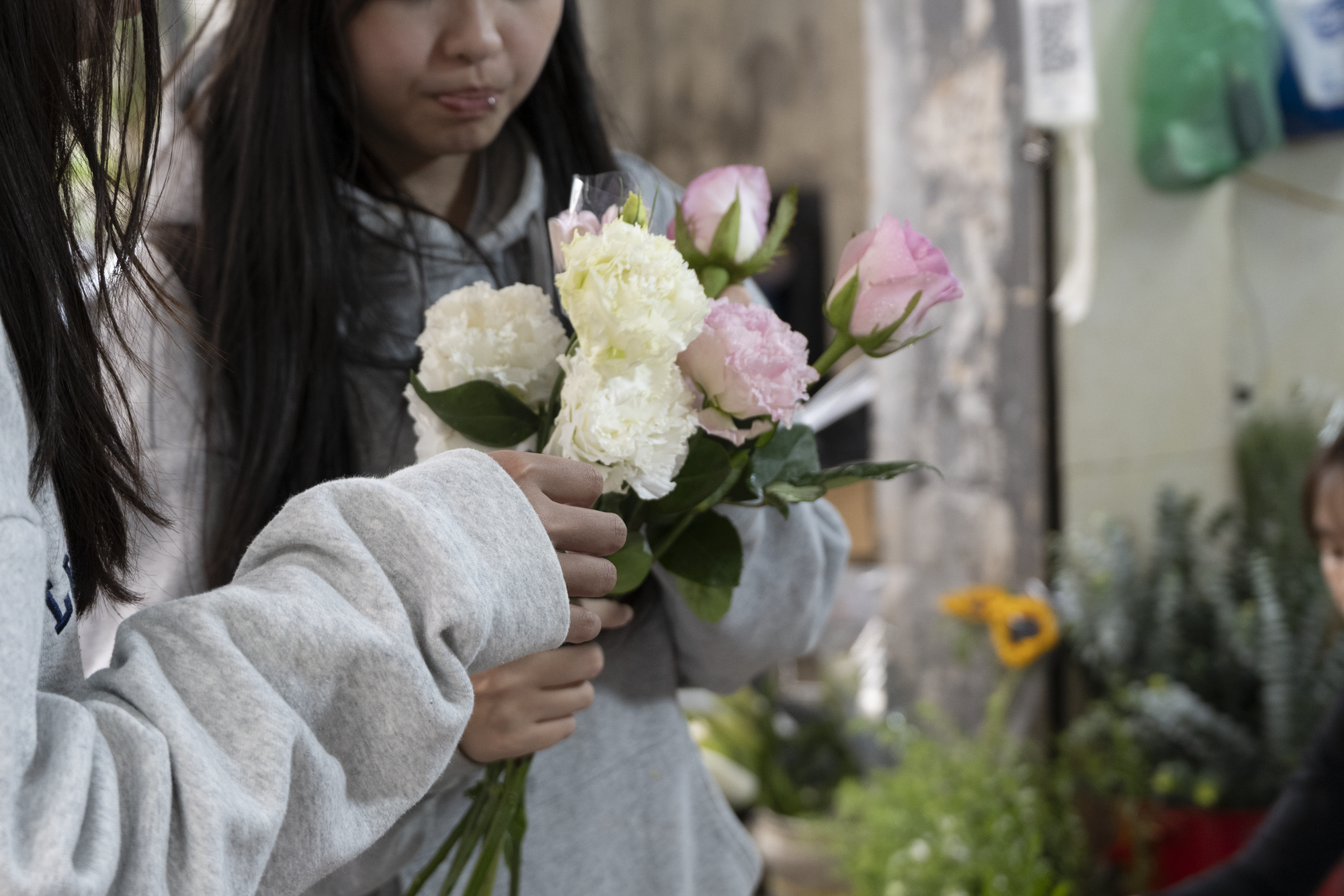 Nghe nói chơi hoa ở Hà Nội mà chưa biết phố Trương Hán Siêu thì chưa phải là sành: Đây là trải nghiệm thực tế- Ảnh 6. Nghe nói chơi hoa ở Hà Nội mà chưa biết phố Trương Hán Siêu thì chưa phải là sành: Đây là trải nghiệm thực tế- Ảnh 6.