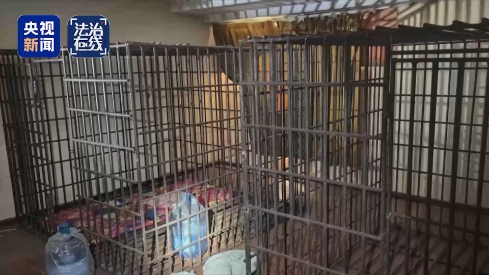 Trung Quốc bóc trần tội ác của “tứ đại gia tộc” lừa đảo ở Myanmar- Ảnh 3. Trung Quốc bóc trần tội ác của “tứ đại gia tộc” lừa đảo ở Myanmar- Ảnh 3.