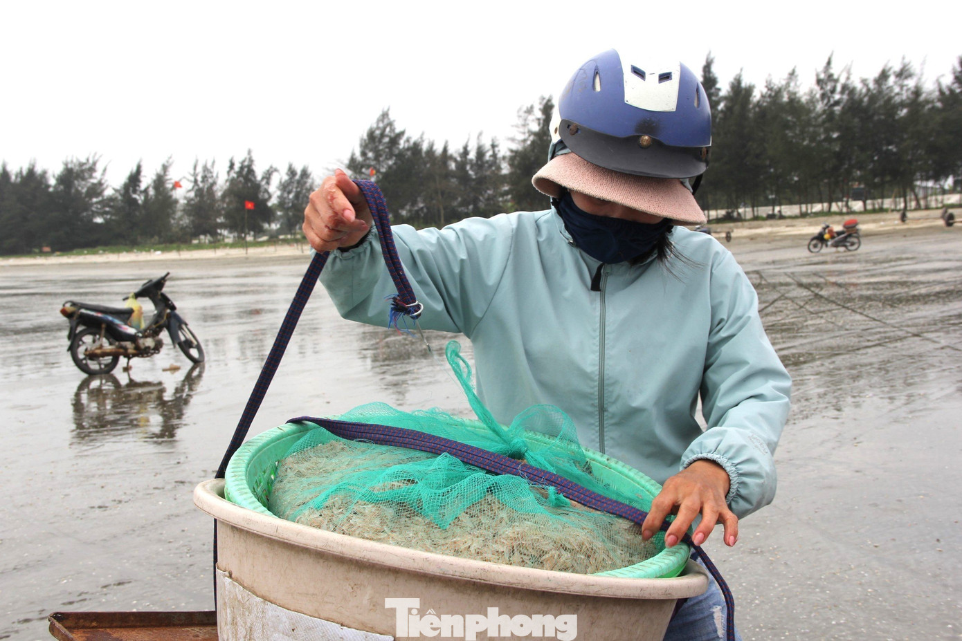 Ngư dân rẽ sóng săn con bé tí teo, bỏ túi tiền triệu mỗi ngày- Ảnh 9. Ngư dân rẽ sóng săn con bé tí teo, bỏ túi tiền triệu mỗi ngày- Ảnh 9.