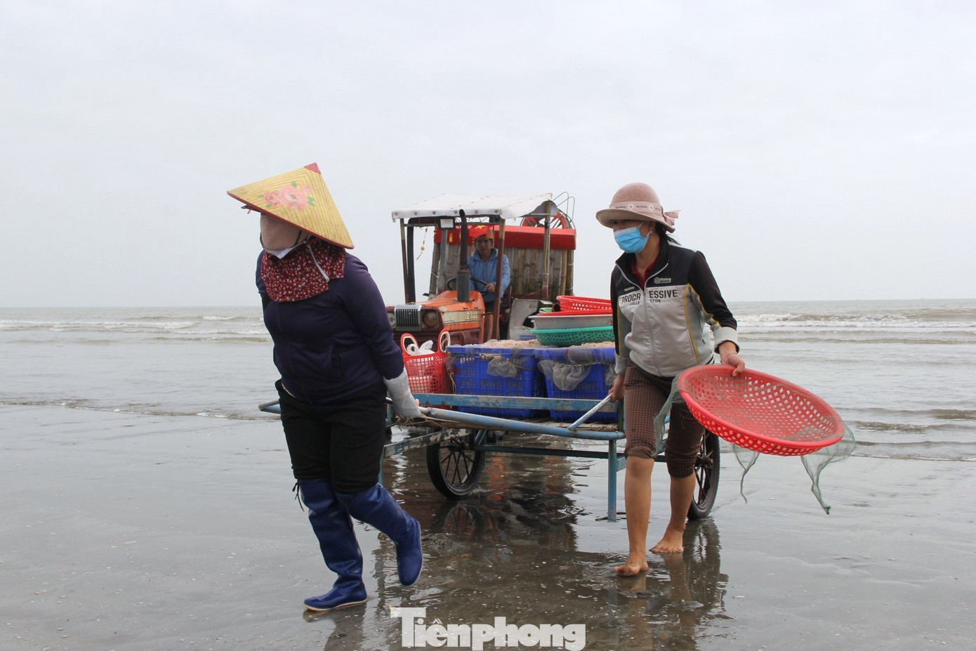 Ngư dân rẽ sóng săn con bé tí teo, bỏ túi tiền triệu mỗi ngày- Ảnh 3. Ngư dân rẽ sóng săn con bé tí teo, bỏ túi tiền triệu mỗi ngày- Ảnh 3.