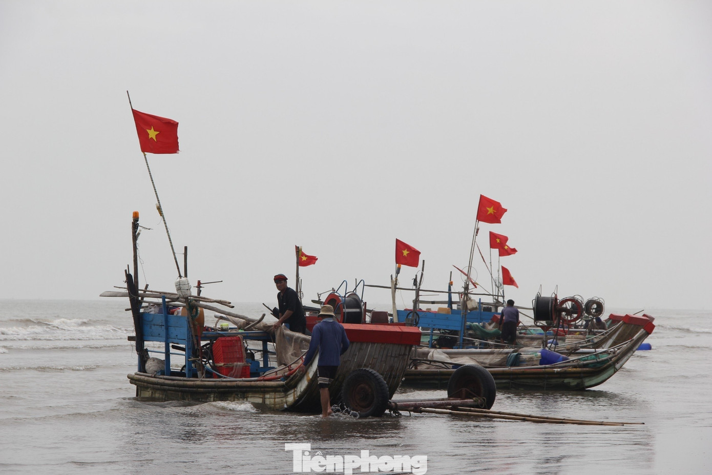 Ngư dân rẽ sóng săn con bé tí teo, bỏ túi tiền triệu mỗi ngày- Ảnh 1. Ngư dân rẽ sóng săn con bé tí teo, bỏ túi tiền triệu mỗi ngày- Ảnh 1.