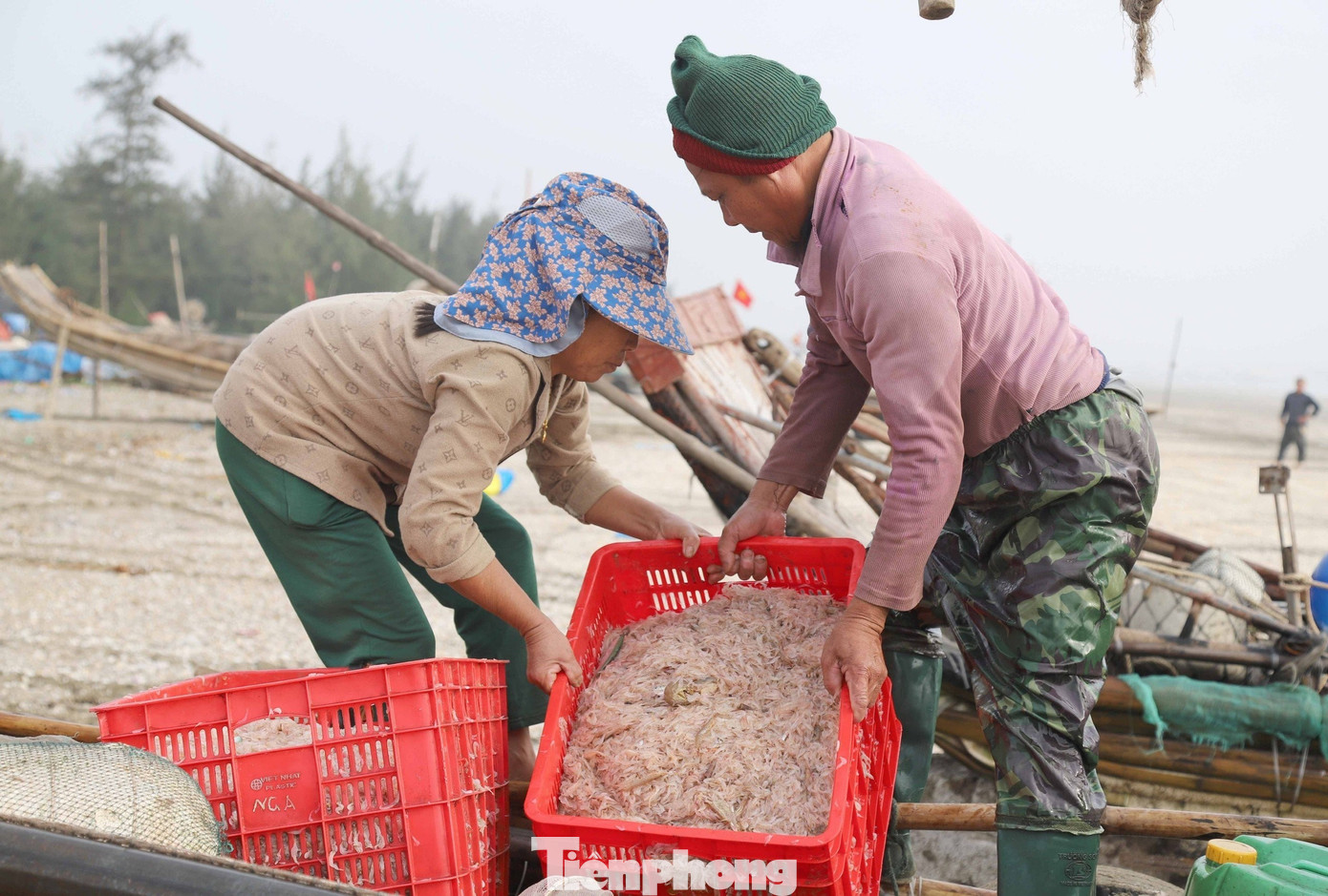 Ngư dân rẽ sóng săn con bé tí teo, bỏ túi tiền triệu mỗi ngày- Ảnh 4. Ngư dân rẽ sóng săn con bé tí teo, bỏ túi tiền triệu mỗi ngày- Ảnh 4.