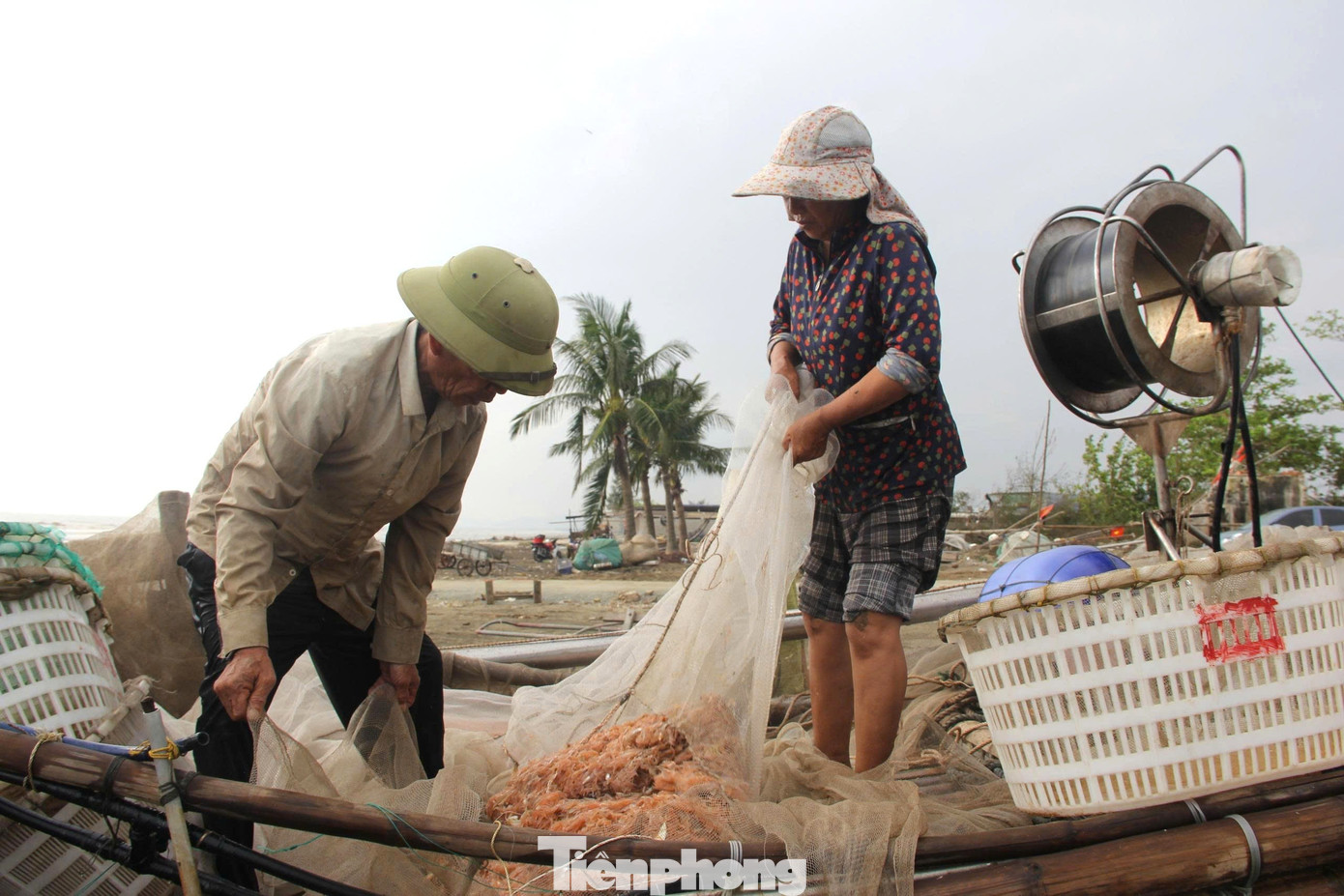 Ngư dân rẽ sóng săn con bé tí teo, bỏ túi tiền triệu mỗi ngày- Ảnh 7. Ngư dân rẽ sóng săn con bé tí teo, bỏ túi tiền triệu mỗi ngày- Ảnh 7.