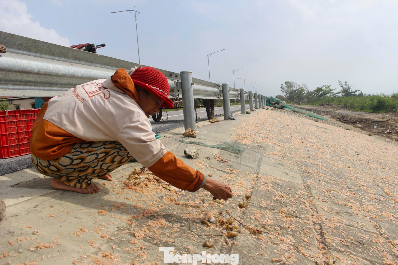 Ngư dân rẽ sóng săn con bé tí teo, bỏ túi tiền triệu mỗi ngày- Ảnh 12. Ngư dân rẽ sóng săn con bé tí teo, bỏ túi tiền triệu mỗi ngày- Ảnh 12.