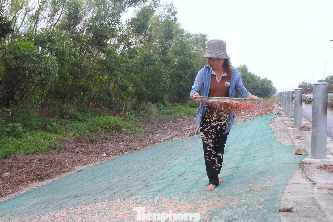 Ngư dân rẽ sóng săn con bé tí teo, bỏ túi tiền triệu mỗi ngày- Ảnh 13. Ngư dân rẽ sóng săn con bé tí teo, bỏ túi tiền triệu mỗi ngày- Ảnh 13.