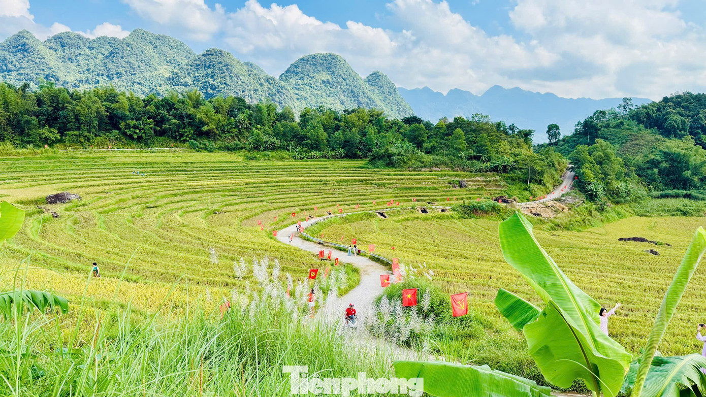 Check-in cung đường chữ S giữa 'biển vàng' gây sốt mạng xã hội- Ảnh 3. Check-in cung đường chữ S giữa 'biển vàng' gây sốt mạng xã hội- Ảnh 3.