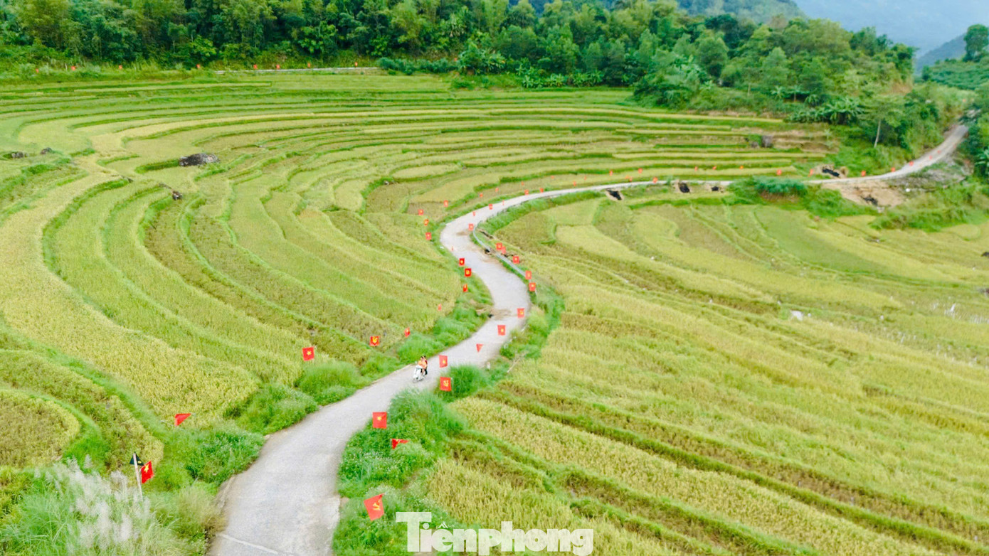 Check-in cung đường chữ S giữa 'biển vàng' gây sốt mạng xã hội- Ảnh 1. Check-in cung đường chữ S giữa 'biển vàng' gây sốt mạng xã hội- Ảnh 1.