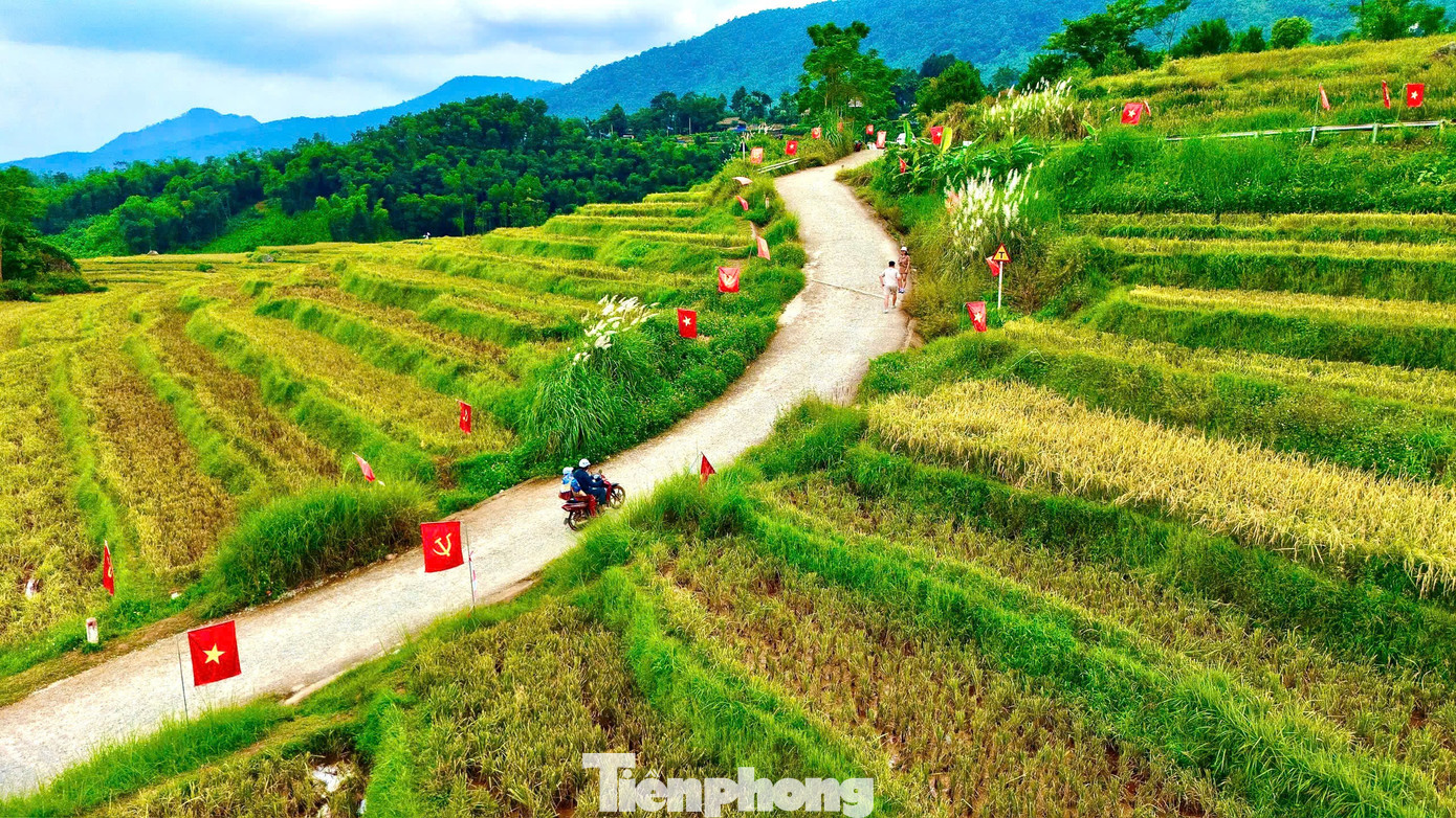 Check-in cung đường chữ S giữa 'biển vàng' gây sốt mạng xã hội- Ảnh 5. Check-in cung đường chữ S giữa 'biển vàng' gây sốt mạng xã hội- Ảnh 5.