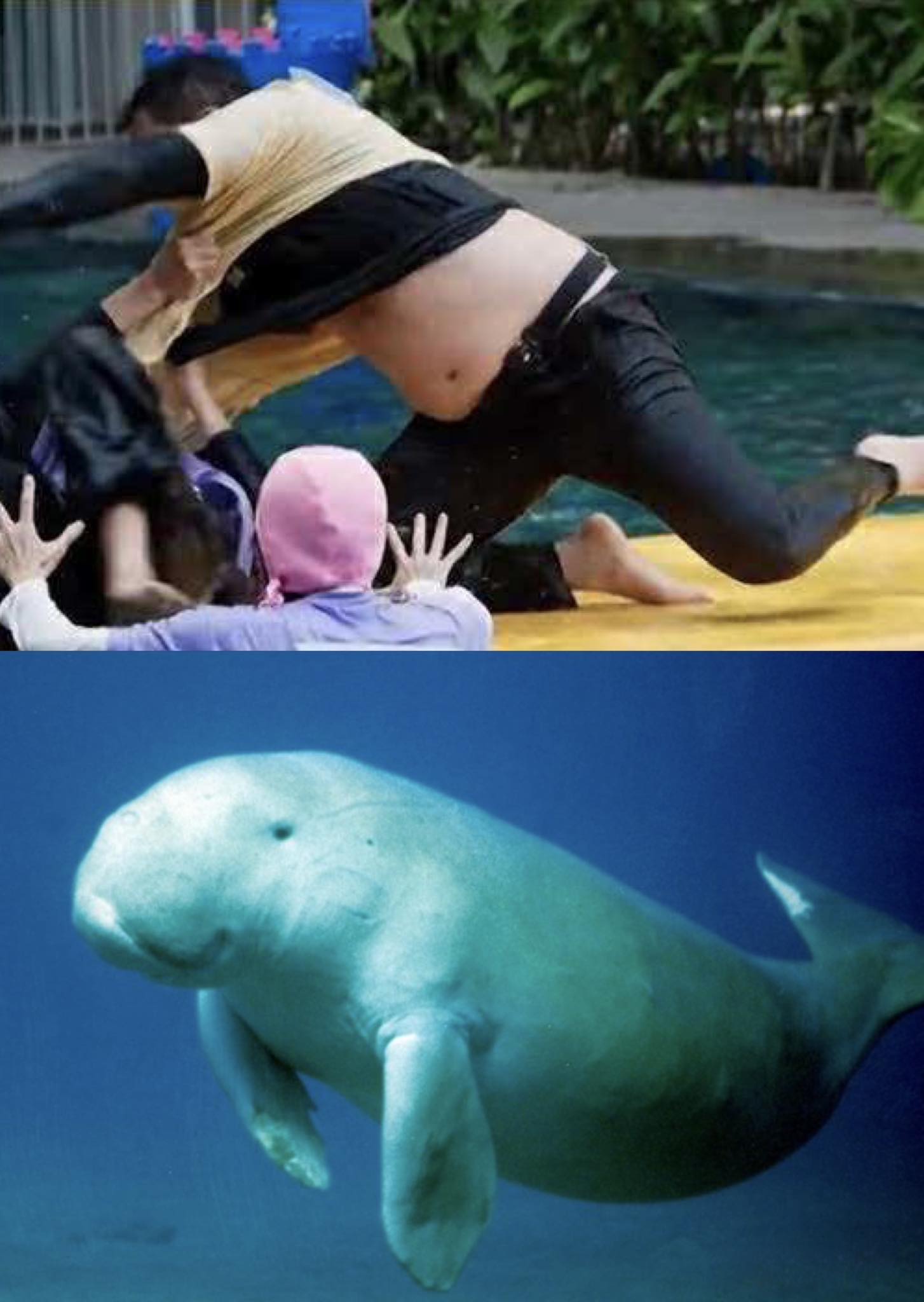 Trấn Thành  Trấn Thành